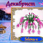 Декабрист французским плетением