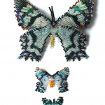 Сортирую бабочек своих