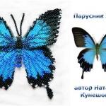 Парусник Улисс