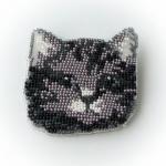 Котомордочка