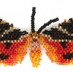 Бабочка Медведица четырёхточечная. Коллекция 36 бабочек-малявок