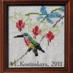 Колибри на ветке фуксии