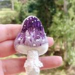 фиолетовый гриб