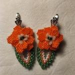 Сережки "Жарки"