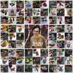 Итоги года по брошкам (фотоколлажи)