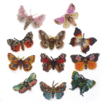 Собрала всех бабочек вместе