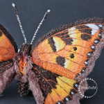 Бабочка Крапивница