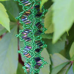 Колье "Листочки"